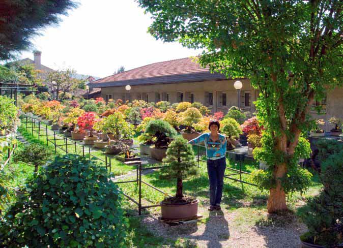 Poesia senza voce nel Giardino Museo Bonsai della Serenit.